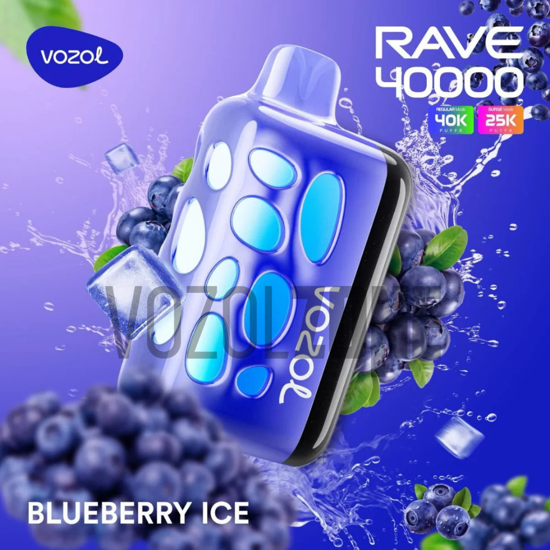Vozol Rave 40000 Blueberry ice